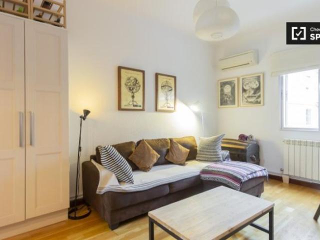 Alquiler 1 Dormitorio Apartamentos Madrid Madrid DS101817009
