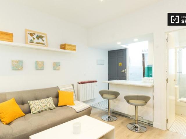 Alquiler 1 Dormitorio Apartamentos Madrid Madrid DS101818542