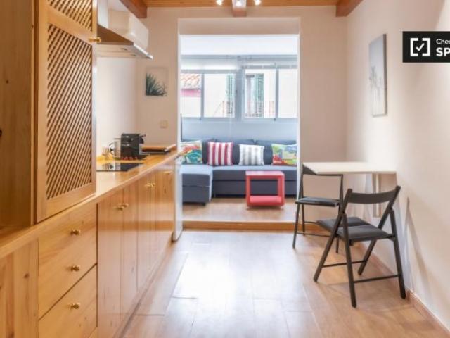 Alquiler 1 Dormitorio Apartamentos Madrid Madrid DS101818585