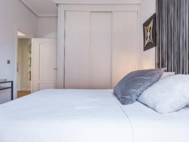 Alquiler 1 Dormitorio Apartamentos Madrid Madrid DS101818825
