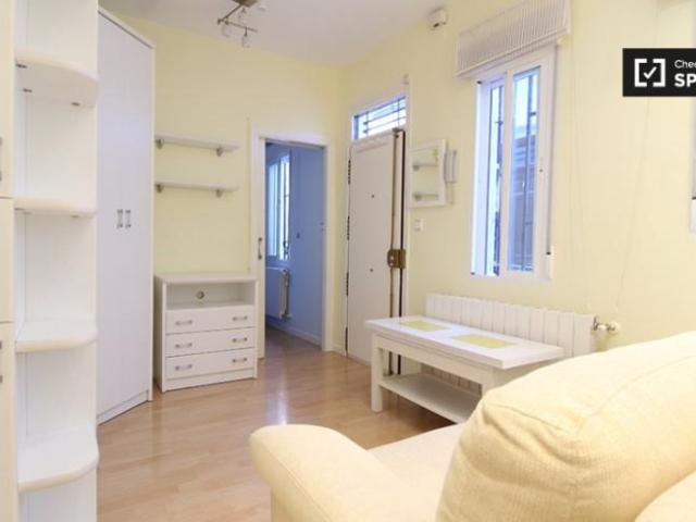 Alquiler 1 Dormitorio Apartamentos Madrid Madrid DS101819264