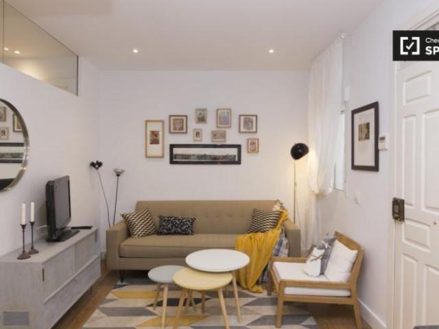 Alquiler 1 Dormitorio Apartamentos Madrid Madrid DS101821340