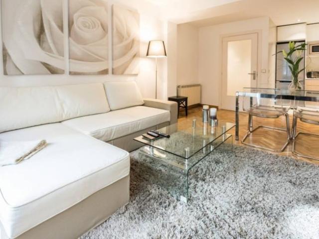 Alquiler 1 Dormitorio Apartamentos Madrid Madrid DS101822412