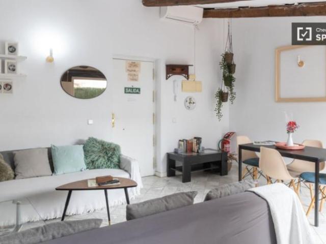 Alquiler 1 Dormitorio Apartamentos Madrid Madrid DS101823543