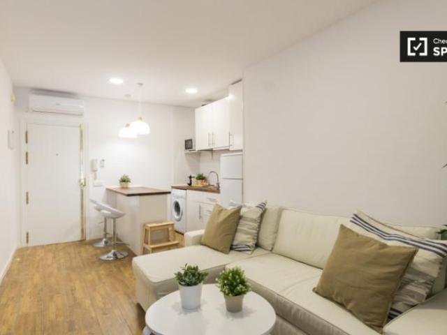 Alquiler 1 Dormitorio Apartamentos Madrid Madrid DS101823565