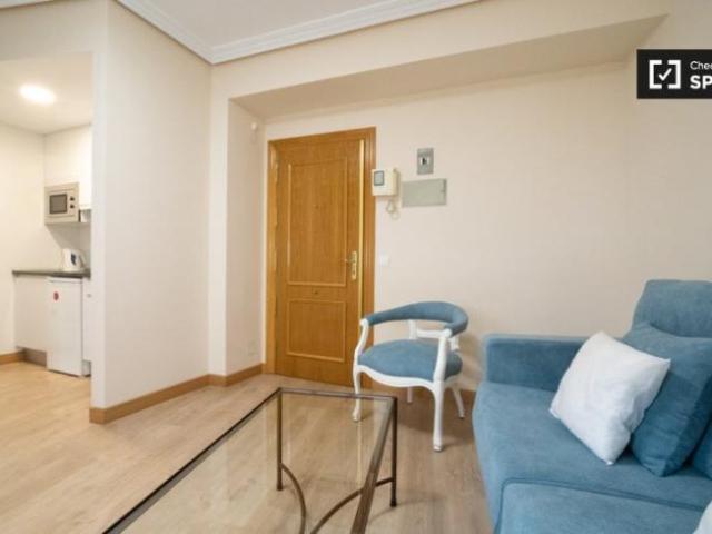Alquiler 1 Dormitorio Apartamentos Madrid Madrid DS101823740