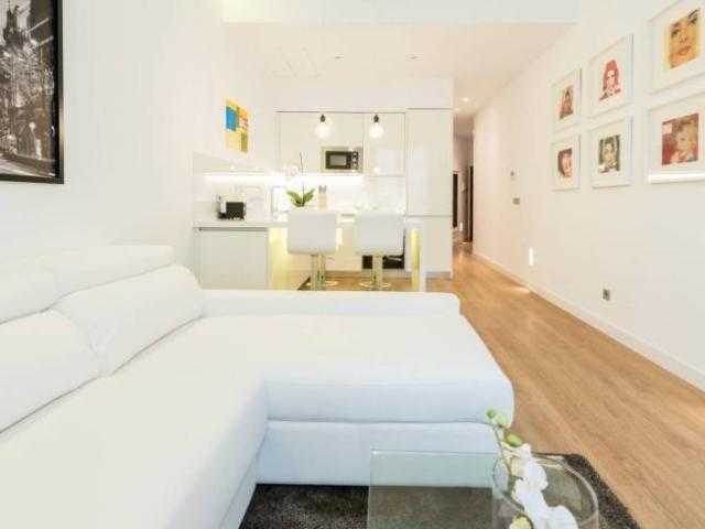 Alquiler 1 Dormitorio Apartamentos Madrid Madrid DS101823914