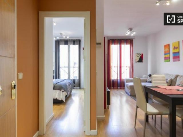 Alquiler 1 Dormitorio Apartamentos Madrid Madrid DS101824783