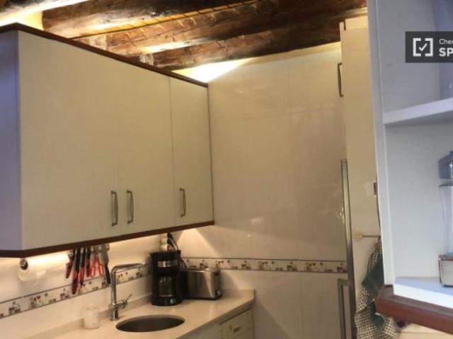 Alquiler 1 Dormitorio Apartamentos Madrid Madrid DS101824997