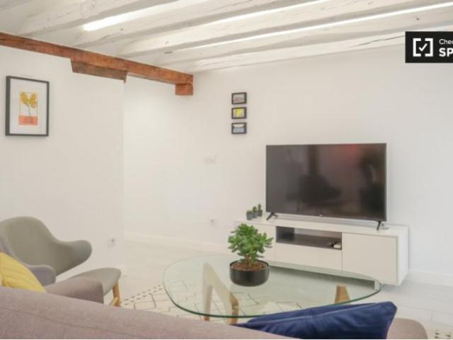Alquiler 1 Dormitorio Apartamentos Madrid Madrid DS101824034