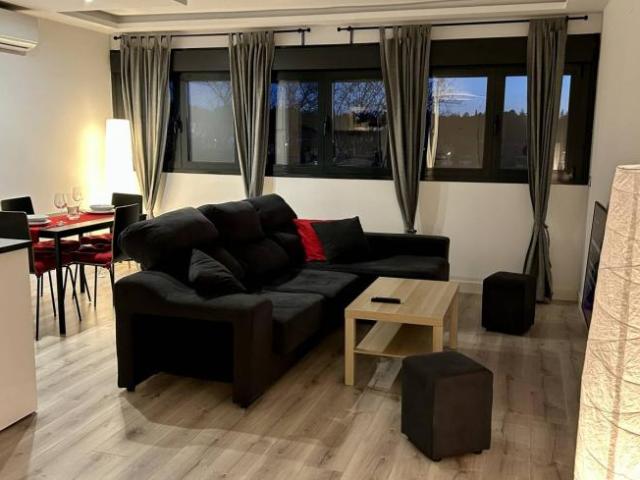Alquiler 1 Dormitorio Apartamentos Madrid Madrid DS101834083
