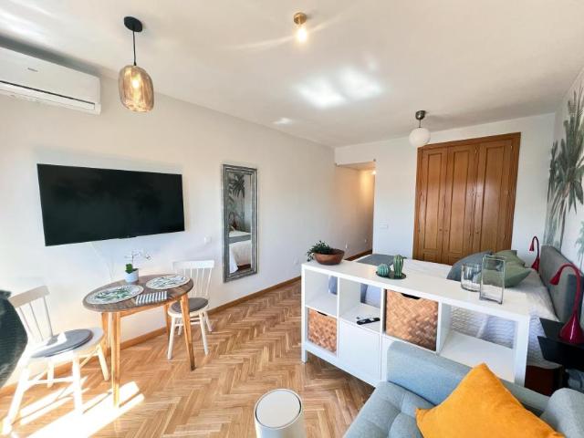 Alquiler 1 Dormitorio Apartamentos Madrid Madrid DS101841083