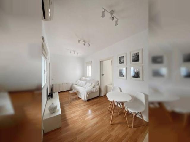Alquiler 1 Dormitorio Apartamentos Madrid Madrid DS101842418