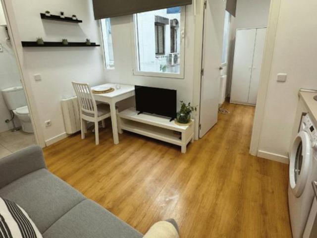 Alquiler 1 Dormitorio Apartamentos Madrid Madrid DS101843476