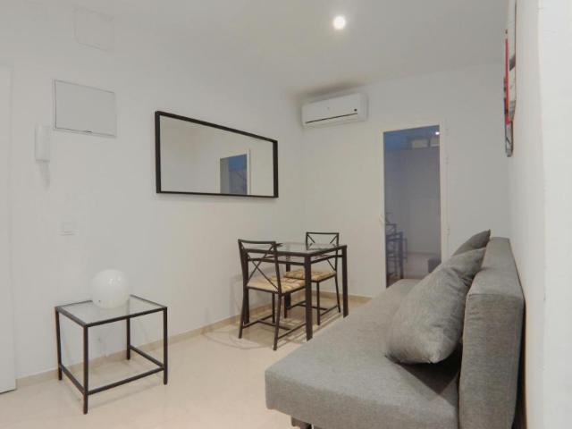 Alquiler 1 Dormitorio Apartamentos Madrid Madrid DS101848280