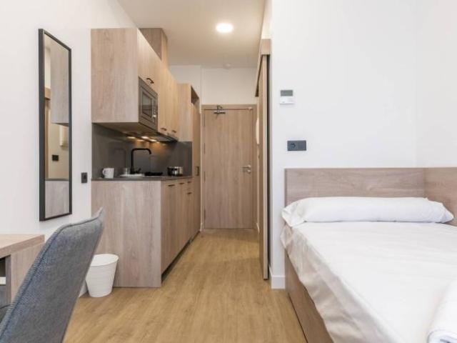 Alquiler 1 Dormitorio Apartamentos Madrid Madrid DS101854019