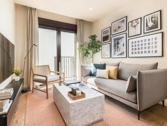 Alquiler 1 Dormitorio Apartamentos Madrid Madrid DS101884742