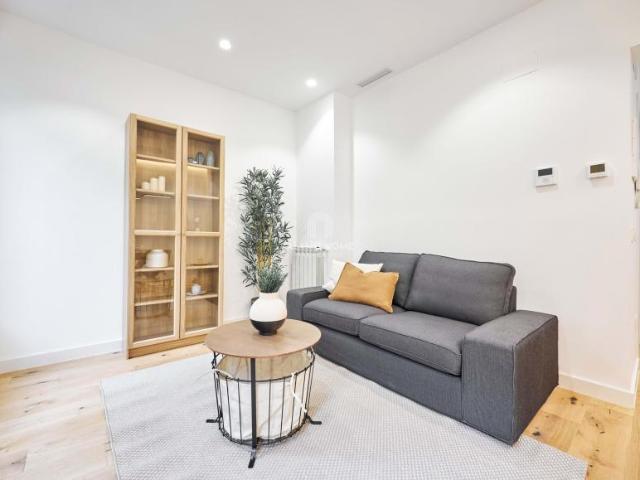Alquiler 1 Dormitorio Apartamentos Madrid Madrid DS101946720