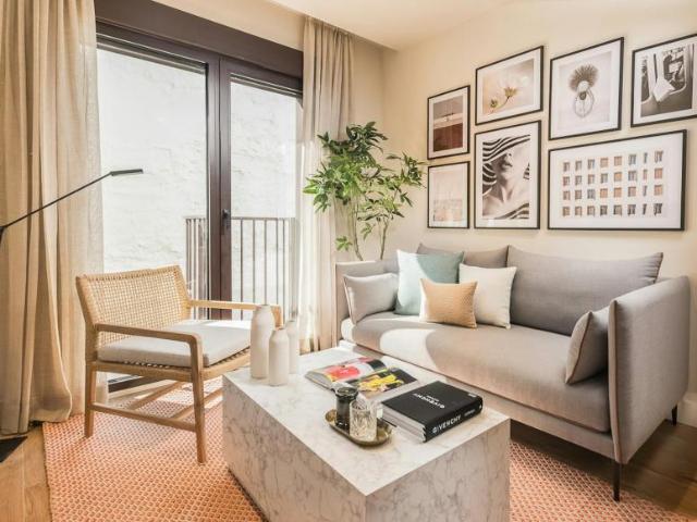 Alquiler 1 Dormitorio Apartamentos Madrid Madrid DS101951873