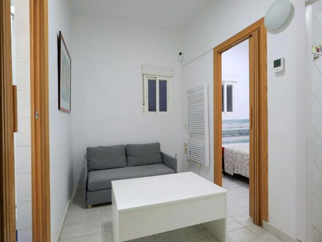 Alquiler 1 Dormitorio Apartamentos Madrid Madrid DS101952640