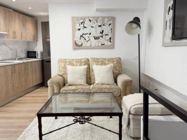Alquiler 1 Dormitorio Apartamentos Madrid Madrid DS101952949