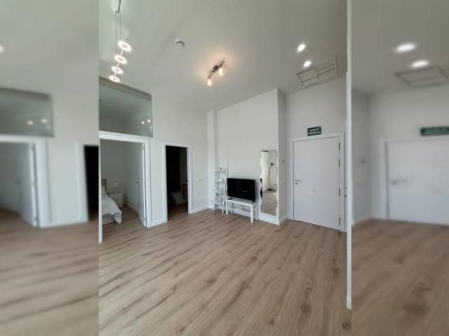 Alquiler 1 Dormitorio Apartamentos Madrid Madrid DS101953202