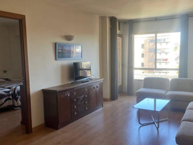 Alquiler 1 Dormitorio Apartamentos Madrid Madrid DS101992166