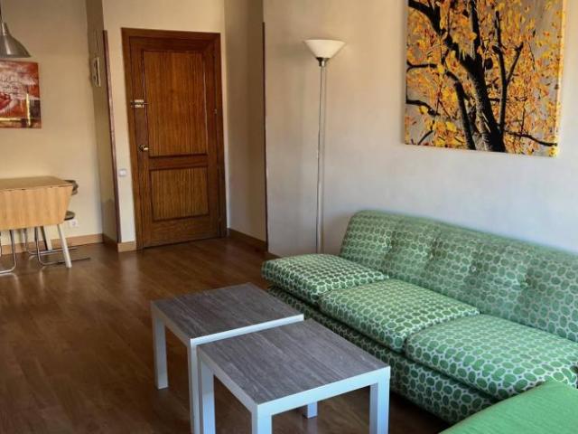 Alquiler 1 Dormitorio Apartamentos Madrid Madrid DS101993049