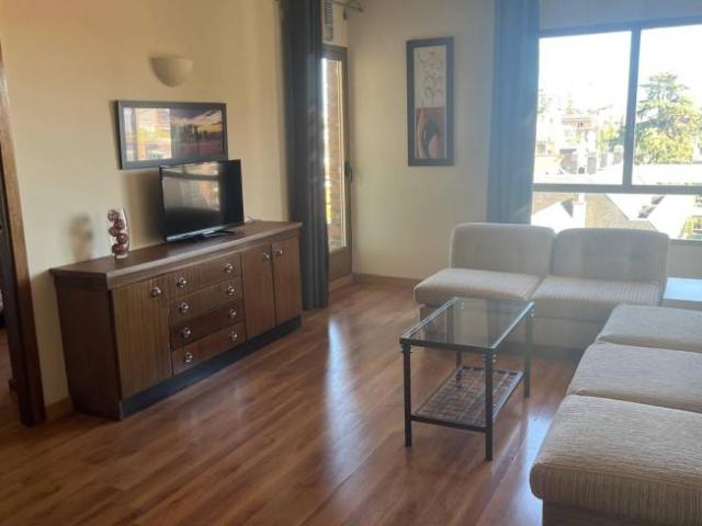 Alquiler 1 Dormitorio Apartamentos Madrid Madrid DS101993059