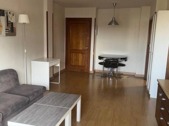 Alquiler 1 Dormitorio Apartamentos Madrid Madrid DS101993067