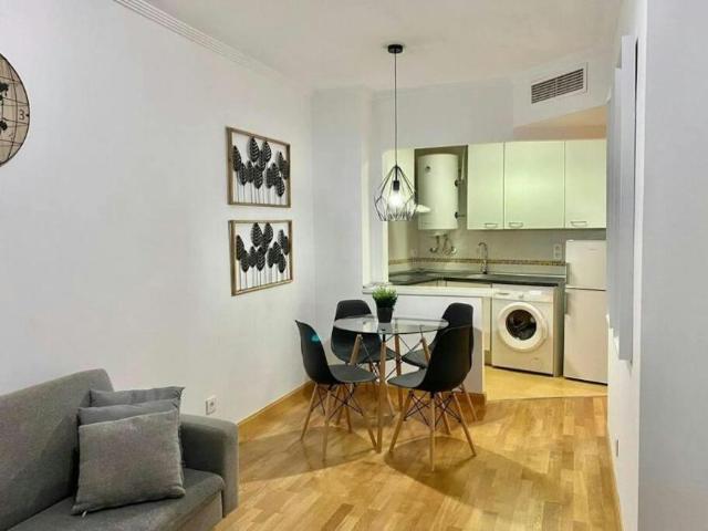 Alquiler 1 Dormitorio Apartamentos Madrid Madrid DS101057517