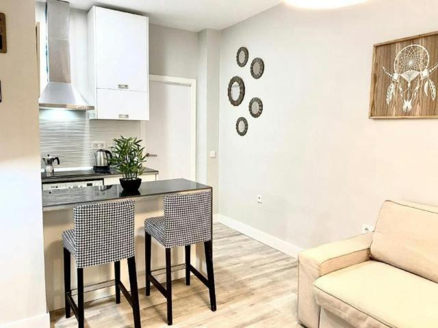 Alquiler 1 Dormitorio Apartamentos Madrid Madrid DS101057527