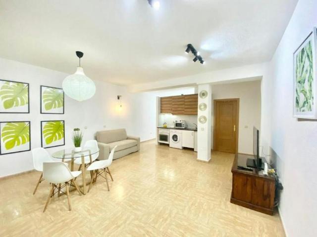 Alquiler 1 Dormitorio Apartamentos Madrid Madrid DS101097152