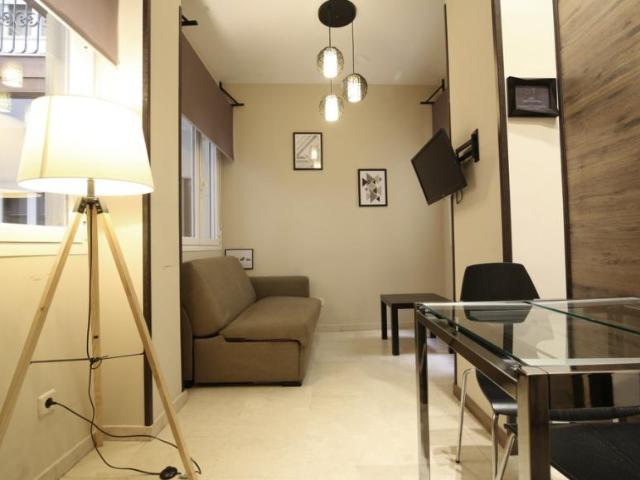 Alquiler 1 Dormitorio Apartamentos Madrid Madrid DS101177211