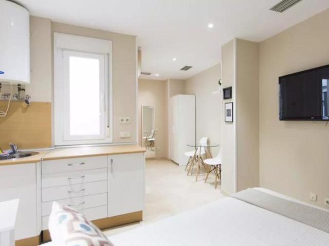 Alquiler 1 Dormitorio Apartamentos Madrid Madrid DS101177213