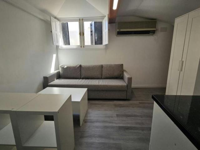 Alquiler 1 Dormitorio Apartamentos Madrid Madrid DS101189546