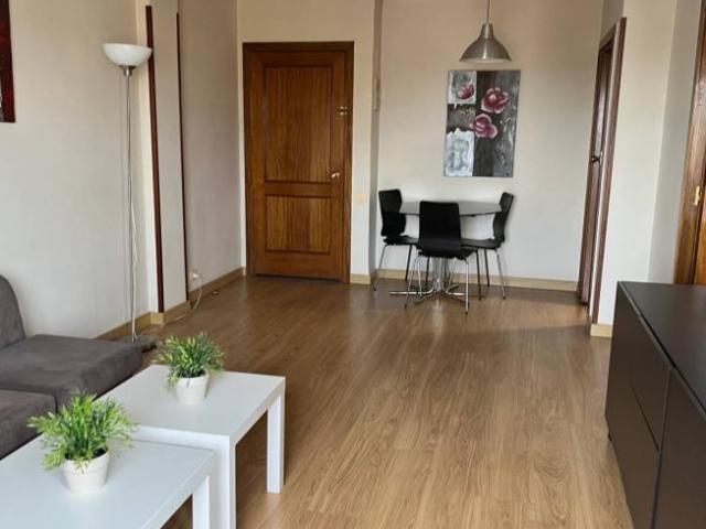 Alquiler 1 Dormitorio Apartamentos Madrid Madrid DS101191044