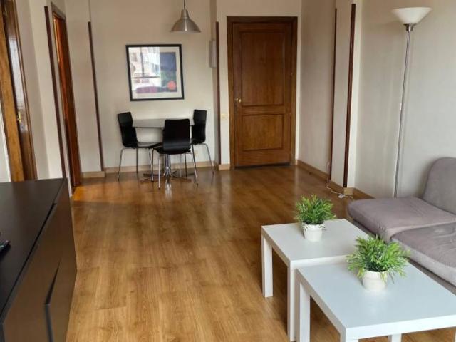 Alquiler 1 Dormitorio Apartamentos Madrid Madrid DS101191048