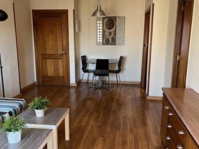 Alquiler 1 Dormitorio Apartamentos Madrid Madrid DS101191129