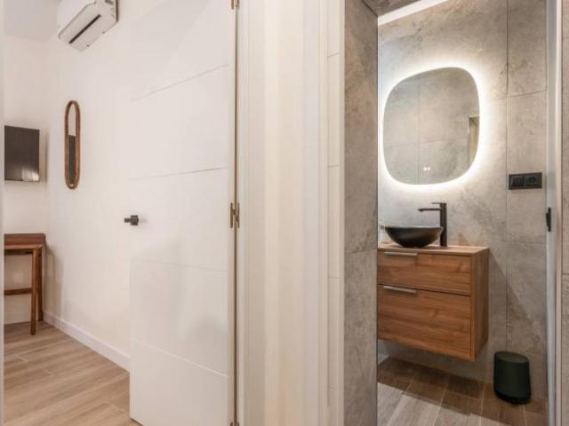 Alquiler 1 Dormitorio Apartamentos Madrid Madrid DS102400226
