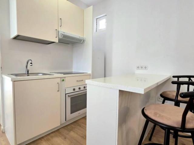 Alquiler 1 Dormitorio Apartamentos Madrid Madrid DS102522941