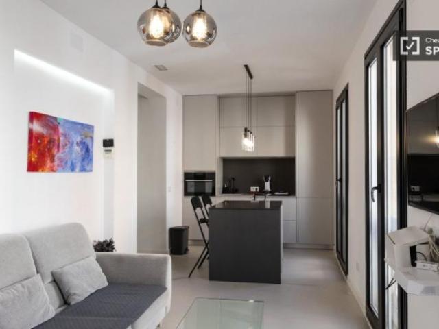 Alquiler 1 Dormitorio Apartamentos Madrid Madrid DS102523545