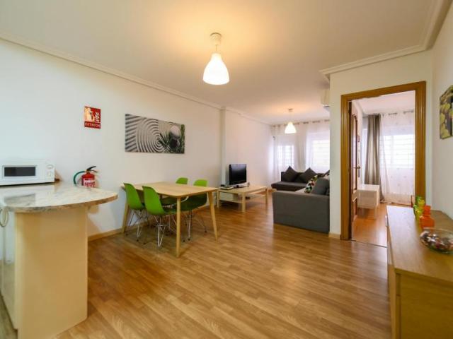 Alquiler 1 Dormitorio Apartamentos Madrid Madrid DS102717473