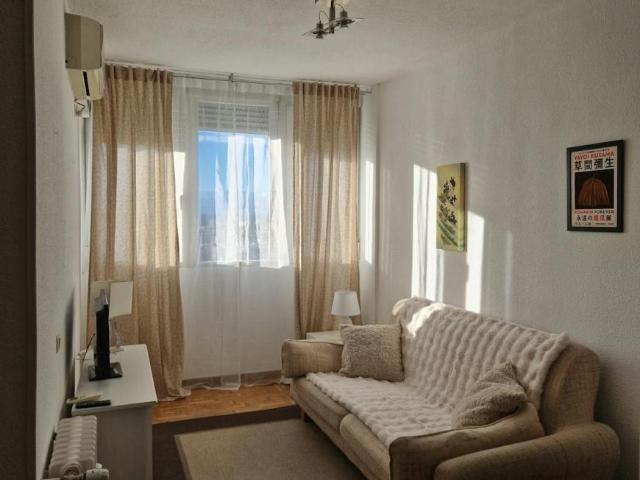 Alquiler 1 Dormitorio Apartamentos Madrid Madrid DS102847689