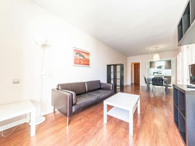 Alquiler 1 Dormitorio Apartamentos Madrid Madrid DS102853461