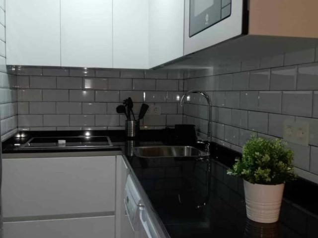 Alquiler 1 Dormitorio Apartamentos Madrid Madrid DS102854946