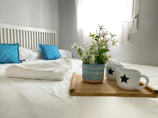 Alquiler 1 Dormitorio Apartamentos Madrid Madrid DS102854947