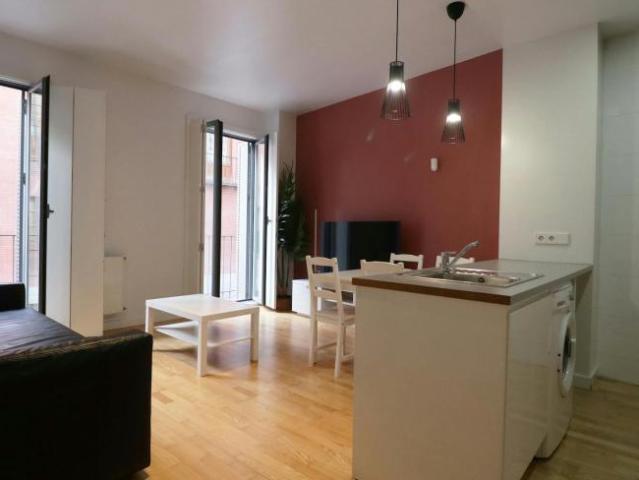 Alquiler 1 Dormitorio Apartamentos Madrid Madrid DS102854314