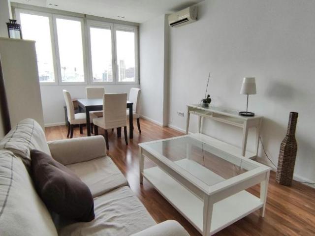 Alquiler 1 Dormitorio Apartamentos Madrid Madrid DS102855907