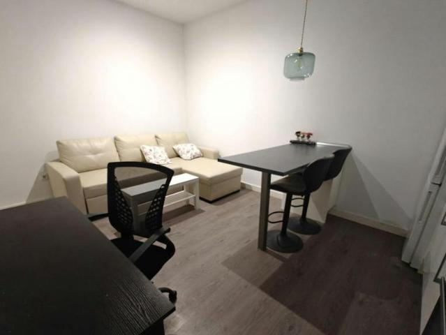 Alquiler 1 Dormitorio Apartamentos Madrid Madrid DS102855935